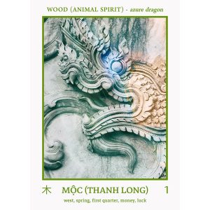 Five Elements Journey Oracle - Ảnh 8