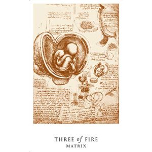 Da Vinci Enigma Tarot - Ảnh 5
