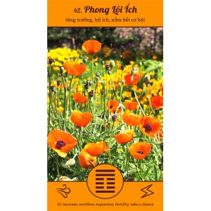 I Ching Everywhere Cards - Ảnh 6