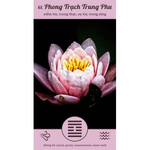 I Ching Everywhere Cards - Ảnh 8