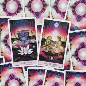 Crystal Visions Tarot - Ảnh 4